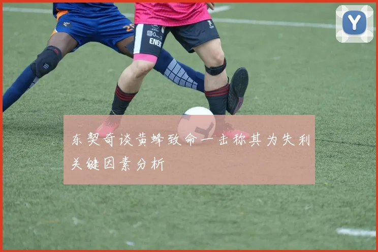 东契奇谈黄蜂致命一击称其为失利关键因素分析
