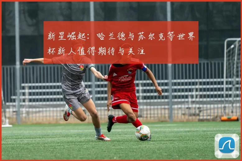 新星崛起：哈兰德与苏尔克等世界杯新人值得期待与关注