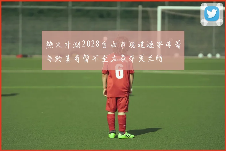 热火计划2028自由市场追逐字母哥与约基奇暂不全力争夺莫兰特